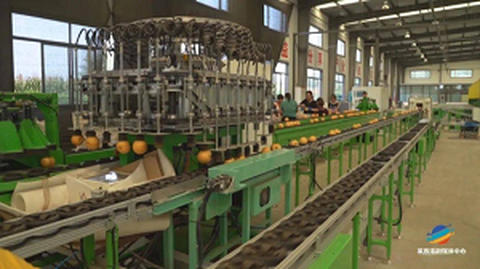 פורום שירות מקור סטנדרטיזציה של פרי ראשון