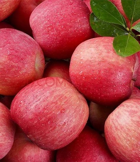 כל סוגי התפוחים