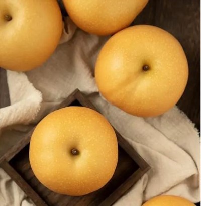 אגס אסייתי ענק