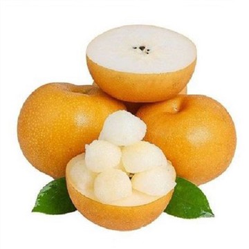 אגס אסייתי Qiuyue